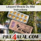 Léopard Miracle Du Miel Instructions 41